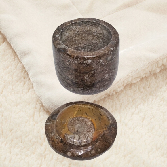 Ammonite Fossil on the Trinket Box's Lid. - Picture 4 of 9